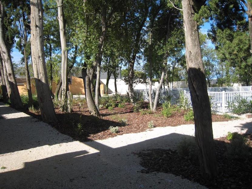 Bastidon Des Alpilles Villa Saint-Rémy-de-Provence Exteriör bild